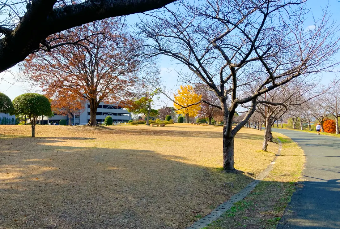久留米百年公園