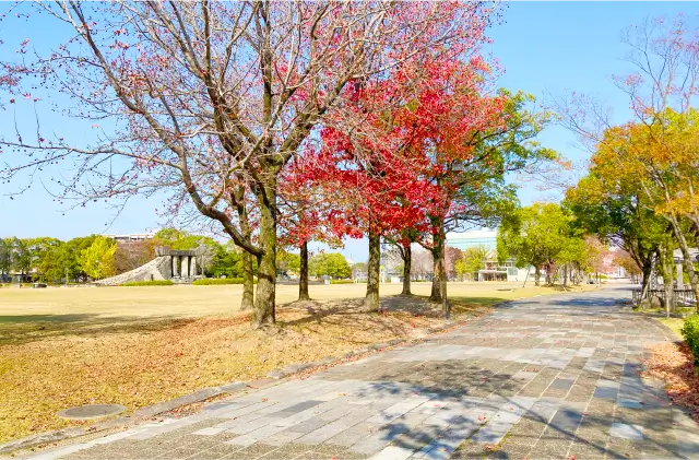 久留米中央公園