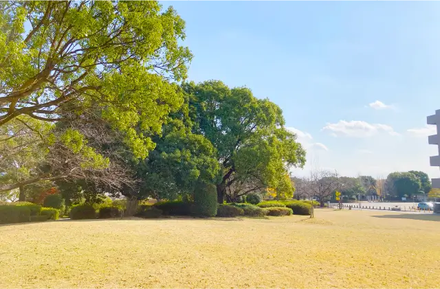 久留米百年公園