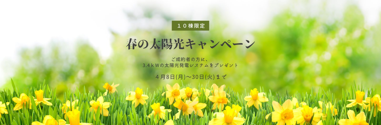 春の太陽光キャンペーン(1600 x 525 px)
